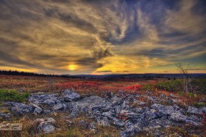 dolly-sods-wilderness-west-virginia-hdr-photography-sunset