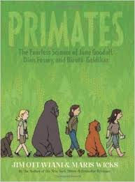 primates
