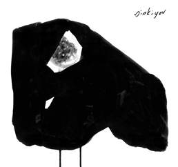 cst109covera_258x242